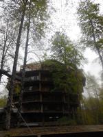 Pilz-Hotel in Huilo Huilo &ndash; &copy; Sylvia Sann (Eberhardt TRAVEL)