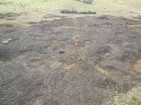 Tonariki Osterinsel &ndash; &copy; Sylvia Sann (Eberhardt TRAVEL)