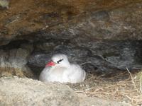 Osterinsel &ndash; &copy; Sylvia Sann (Eberhardt TRAVEL)