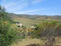 Weingut Matetic  &ndash; &copy; Sylvia Sann (Eberhardt TRAVEL)