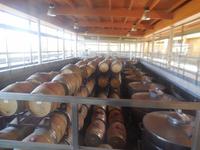 Weingut Matetic  &ndash; &copy; Sylvia Sann (Eberhardt TRAVEL)