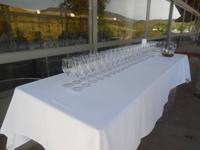 Weingut Matetic  &ndash; &copy; Sylvia Sann (Eberhardt TRAVEL)