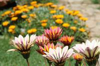 Bolivien - Titicacasee &ndash; &copy; Jacob Spangenberg (Eberhardt TRAVEL)