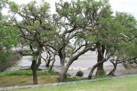 Tagesausflug nach Uruguay - Colonia &ndash; &copy; Jacob Spangenberg (Eberhardt TRAVEL)