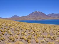 Die Laguna Miscanti &ndash; &copy; Astrid Janke (Eberhardt TRAVEL)