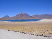 Die Laguna Miscanti &ndash; &copy; Astrid Janke (Eberhardt TRAVEL)