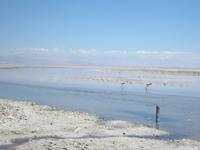 Salar de Atacama &ndash; &copy; Constanze Hölig (Eberhardt TRAVEL)