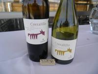 Weingut Matetic &ndash; &copy; Constanze Hölig (Eberhardt TRAVEL)