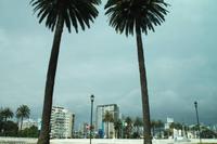 Chile: Vina Del Mar &ndash; &copy; Jacob Spangenberg (Eberhardt TRAVEL)