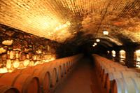 Chile: Maipo Tal - Weingut 