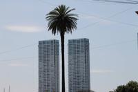 Argentinien: Buenos Aires - Stadtrundfahrt &ndash; &copy; Jacob Spangenberg (Eberhardt TRAVEL)