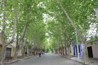 Uruguay: Sacramento de Colonia &ndash; &copy; Jacob Spangenberg (Eberhardt TRAVEL)