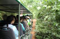 Argentinien: Iguazu Wasserfälle &ndash; &copy; Jacob Spangenberg (Eberhardt TRAVEL)