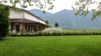 Weingut Casa Silva &ndash; &copy; Maria Drewans (Eberhardt TRAVEL)