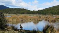 Feuerland Nationalpark &ndash; &copy; Maria Drewans (Eberhardt TRAVEL)