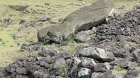 Akahanga &ndash; &copy; Maria Drewans (Eberhardt TRAVEL)