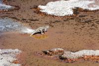 Salar de Atacama &ndash; &copy; Sandra Winkler (Eberhardt TRAVEL)