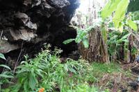 Bananenhöhle &ndash; &copy; Sandra Winkler (Eberhardt TRAVEL)