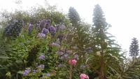 Valparaiso &ndash; &copy; Sylvia Sann (Eberhardt TRAVEL)