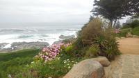 Isla Negra &ndash; &copy; Sylvia Sann (Eberhardt TRAVEL)
