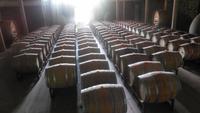 Weingut Matetic &ndash; &copy; Sylvia Sann (Eberhardt TRAVEL)
