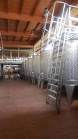 Weingut Matetic &ndash; &copy; Sylvia Sann (Eberhardt TRAVEL)