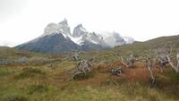 Nationalpark Torres del Paine &ndash; &copy; Sylvia Sann (Eberhardt TRAVEL)