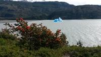 Lago Grey &ndash; &copy; Sylvia Sann (Eberhardt TRAVEL)