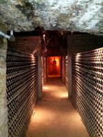 216_Weingut Concha y Toro &ndash; &copy; Jörg Nesse (Eberhardt TRAVEL)