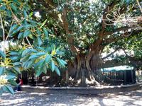 253_Buenos Aires &ndash; &copy; Jörg Nesse (Eberhardt TRAVEL)