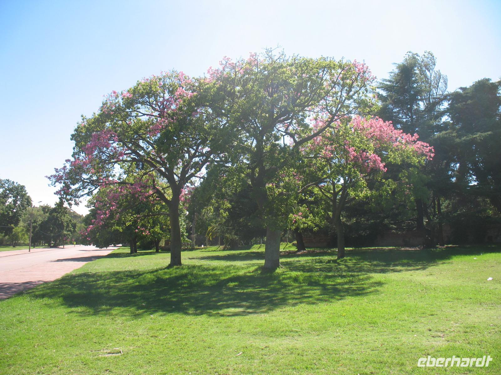 Montevideo &ndash; &copy; Stefanie Knisse (Eberhardt TRAVEL)
