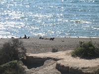 Punta Norte &ndash; &copy; Stefanie Knisse (Eberhardt TRAVEL)