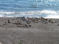 Punta Norte &ndash; &copy; Stefanie Knisse (Eberhardt TRAVEL)