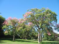 Montevideo &ndash; &copy; Stefanie Knisse (Eberhardt TRAVEL)