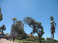 Montevideo &ndash; &copy; Stefanie Knisse (Eberhardt TRAVEL)