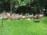 Vogelpark 