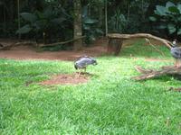 Vogelpark 