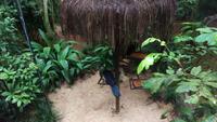 Vogelpark 