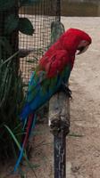 Vogelpark 