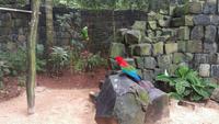 Vogelpark 