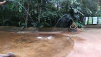 Vogelpark 