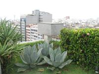 Rio de Janeiro &ndash; &copy; Stefanie Knisse (Eberhardt TRAVEL)