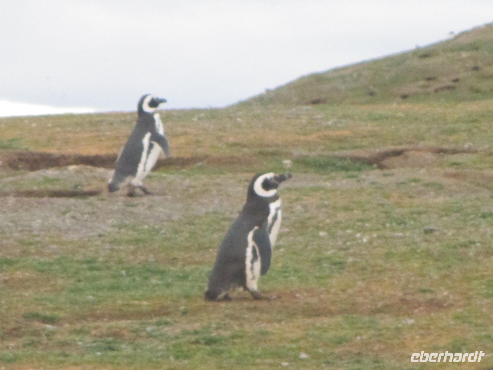 IMG 9620 &ndash; &copy; Sylvia Sann (Eberhardt TRAVEL)