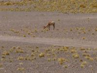 &copy; Sylvia Sann (Eberhardt TRAVEL)