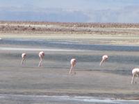 &copy; Sylvia Sann (Eberhardt TRAVEL)