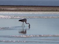 &copy; Sylvia Sann (Eberhardt TRAVEL)