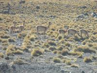 &copy; Sylvia Sann (Eberhardt TRAVEL)