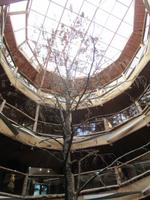 IMG 8980 Hotel Nothofagus &ndash; &copy; Sylvia Sann (Eberhardt TRAVEL)
