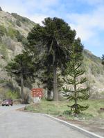 IMG 9090 Trompenpass &ndash; &copy; Sylvia Sann (Eberhardt TRAVEL)