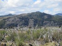 IMG 9108 argentinische Pampa &ndash; &copy; Sylvia Sann (Eberhardt TRAVEL)